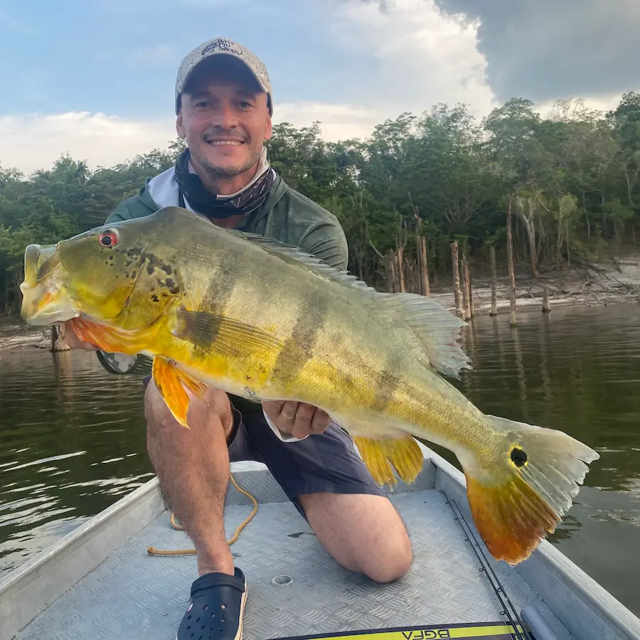 Amazon peacock bass fishing boat